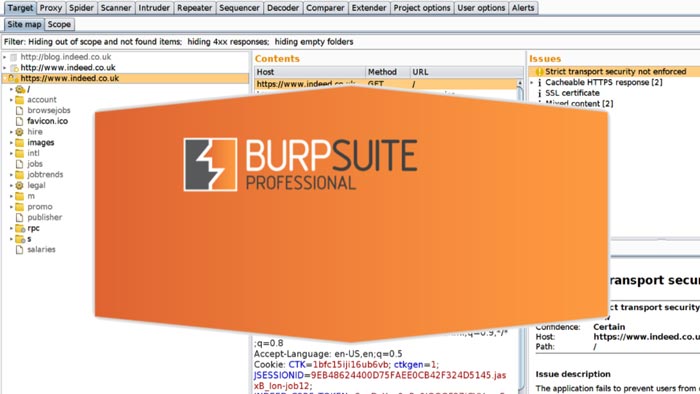 Burp Suite Pro 2022.12.7 Crack With License Key Free Download